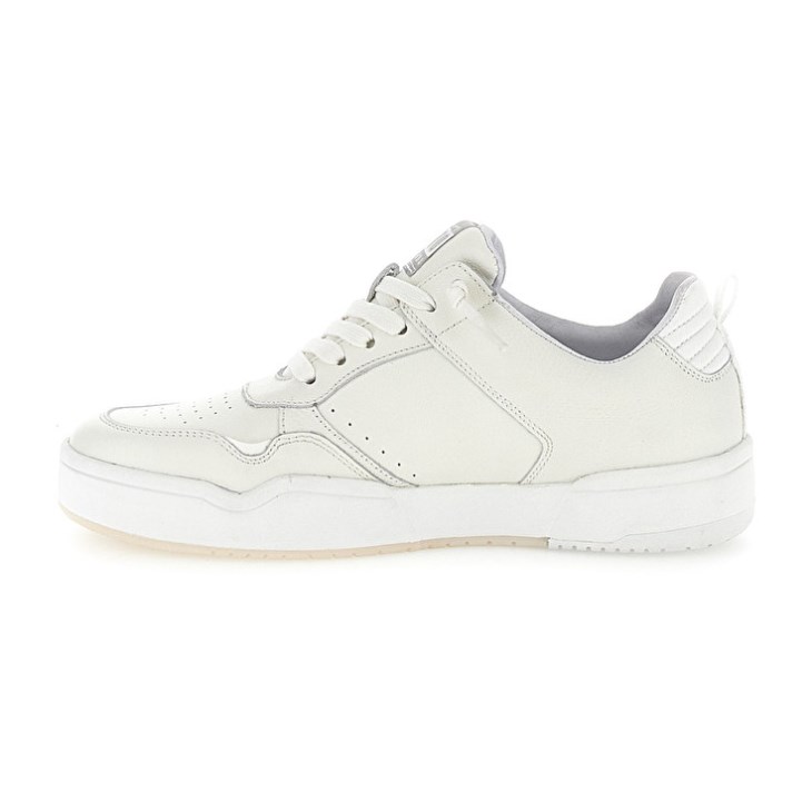 Zapatillas de Baloncesto Lotto Hoop Stars Hombre Blancas | MX368106T3
